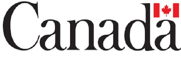 Newcomers need more support to succeed in the Canadian job market